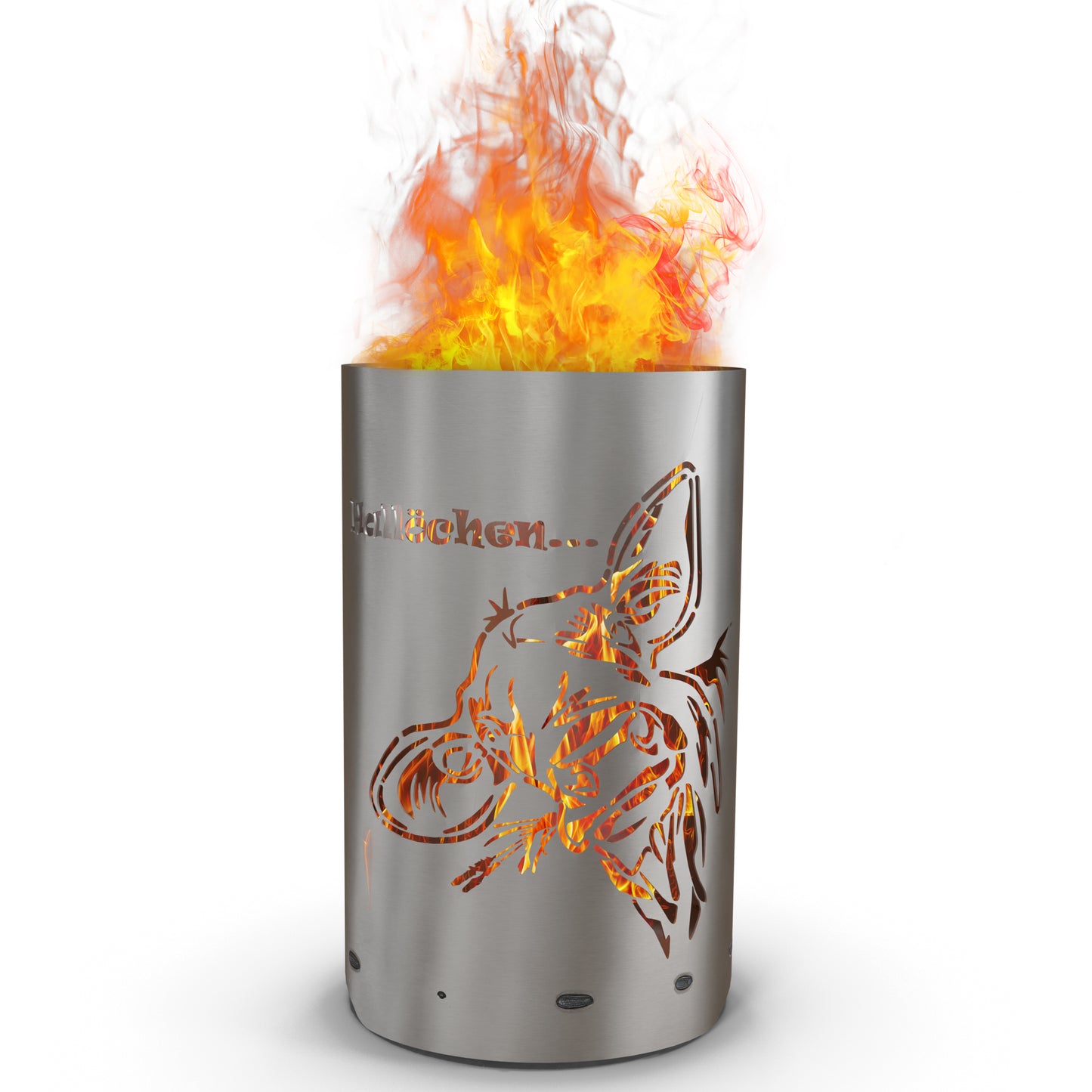 Feuertonne / Feuerkorb - Kuh Hallöchen